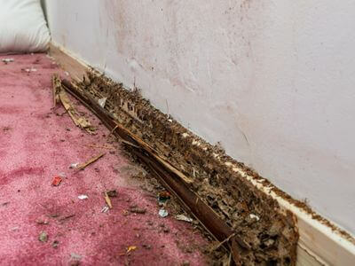 About Fast Water Leak Cleanup - water damage restoration experts in Estillfork, AL